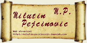 Milutin Pejčinović vizit kartica